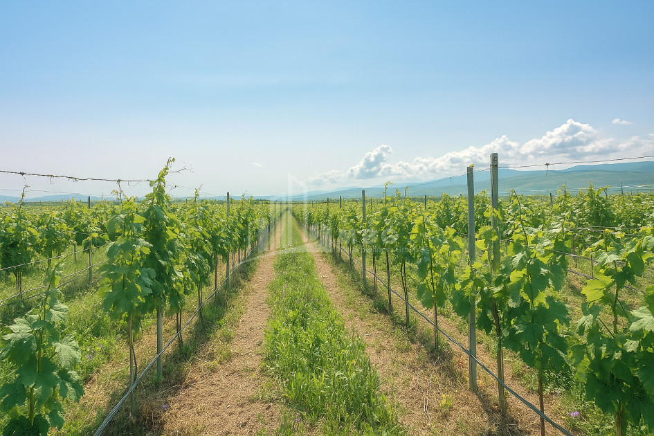 იყიდება კომერციული ფართი დოესი კასპი შიდა ქართლი
