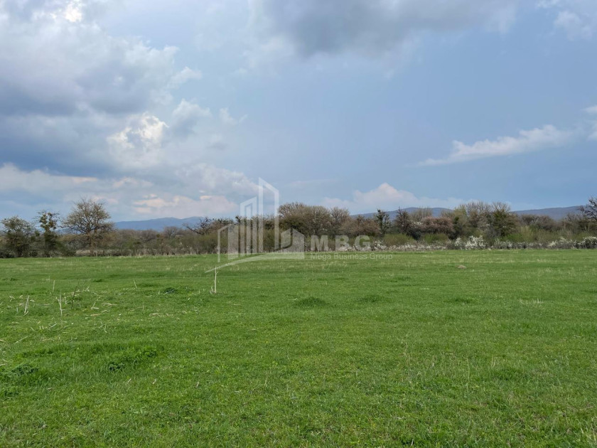 იყიდება მიწის ნაკვეთი ღულელები თიანეთი მცხეთა   მთიანეთი