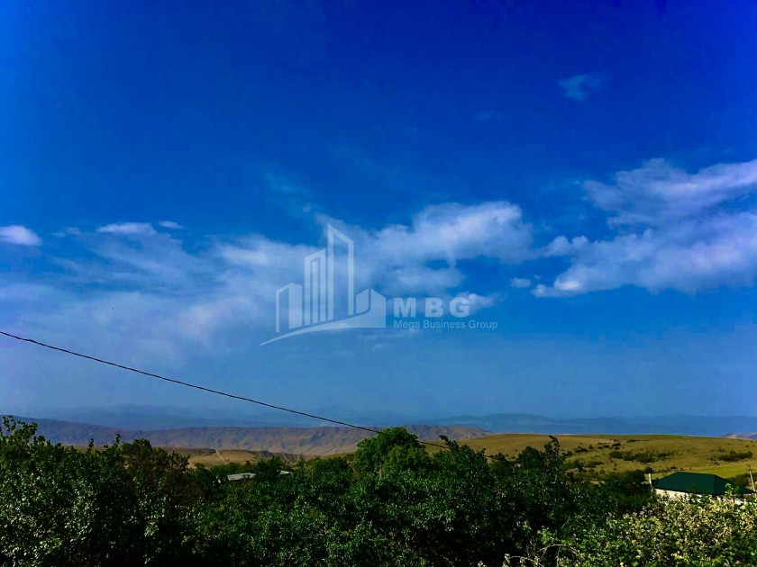 For Sale Land, Telatgori, Kaspi Municipality, Municipalities of Shida Kartli