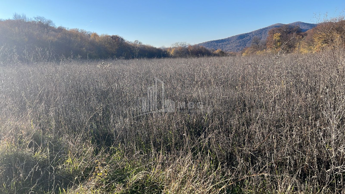 Продается Земля Базалети Душети Мцхета   Мтианети