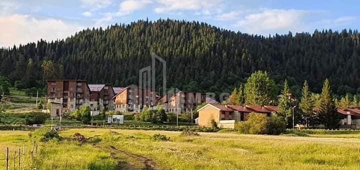 Lease Flat Bakuriani Borjomi Samtskhe   Javakheti