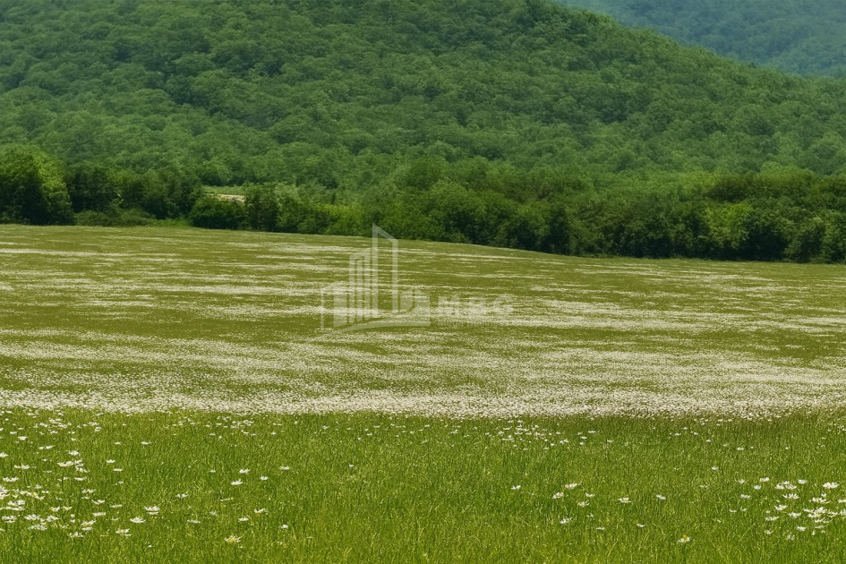 Продается Земля Гомбори Сагареджо Кахети