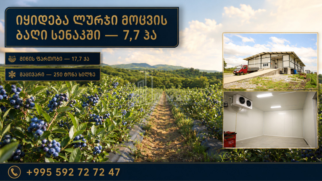 For Sale Orchards Land In Senaki