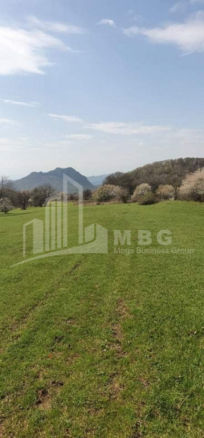 For Sale Country Land, in Orbeti