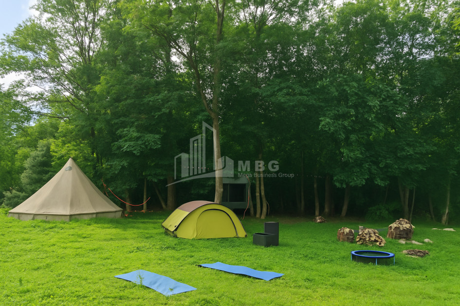 იყიდება ბიზნესი კომერციული ფართი თელავი კახეთი