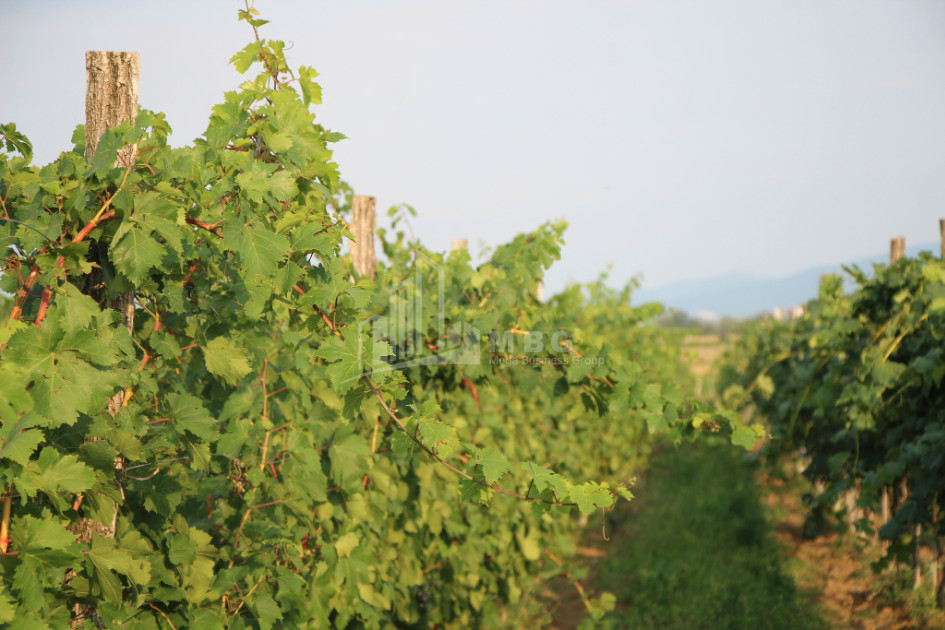 იყიდება კომერციული ფართი დოესი კასპი შიდა ქართლი