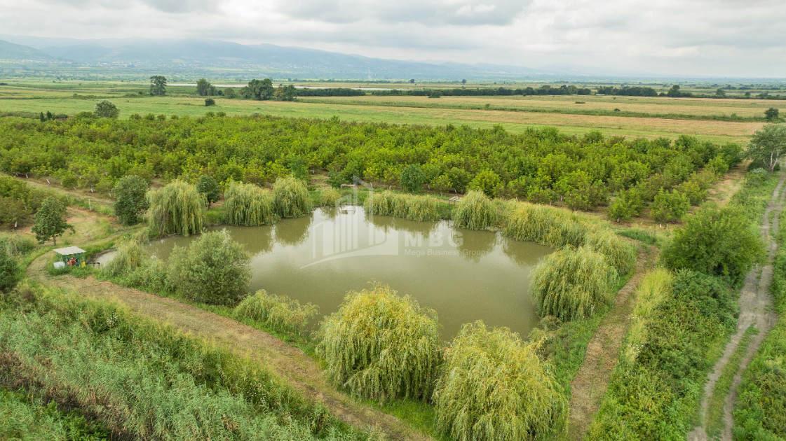 For Sale Land Kakheti