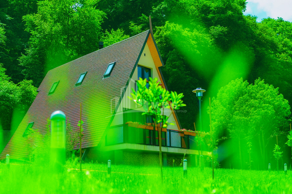 For Sale House Villa Tskhvarichamia Mtskheta Mtskheta   Mtianeti