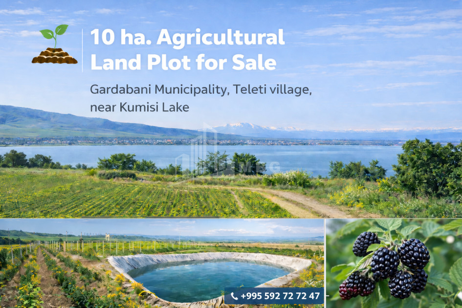 For Sale Land Kumisi Gardabani Kvemo Kartli