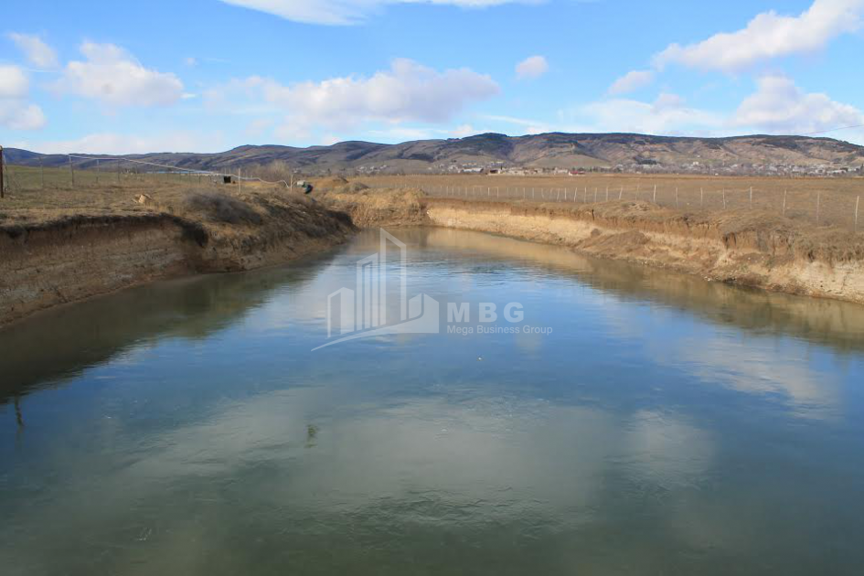 For Sale Orchards Land, in Kvemo Teleti