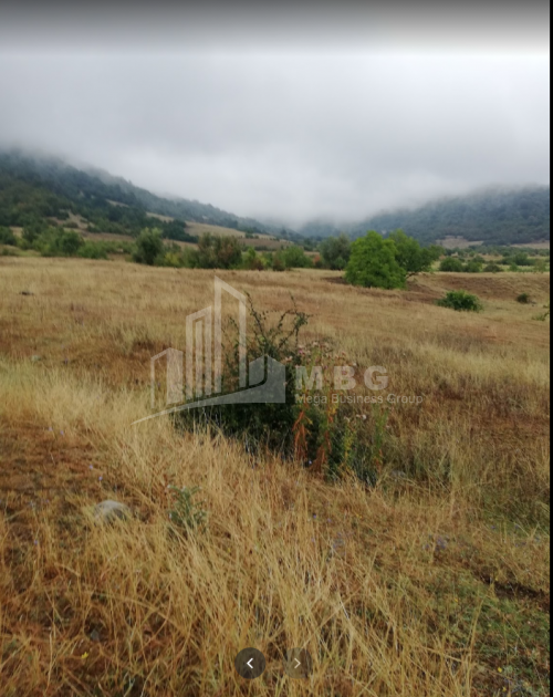 For Sale Vineyard - Chateau Land, in Matani