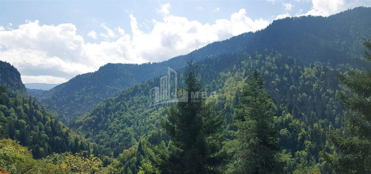 იყიდება სააგარაკე მიწის ნაკვეთი, ტბა