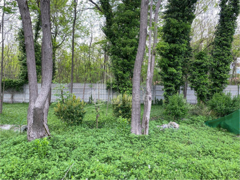 იყიდება ბიზნესი კომერციული ფართი თელავი კახეთი