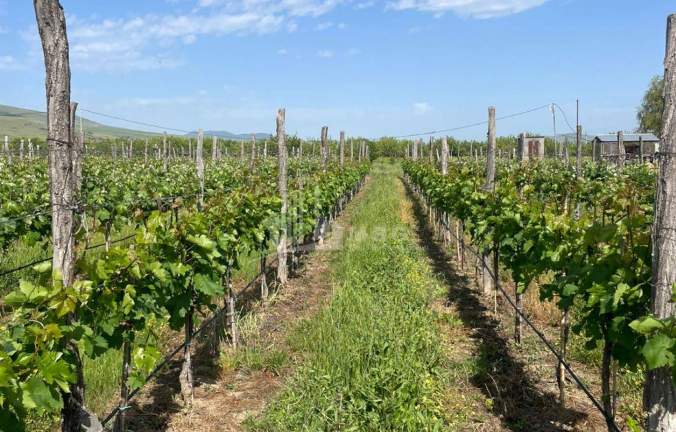 იყიდება კომერციული ფართი დოესი კასპი შიდა ქართლი