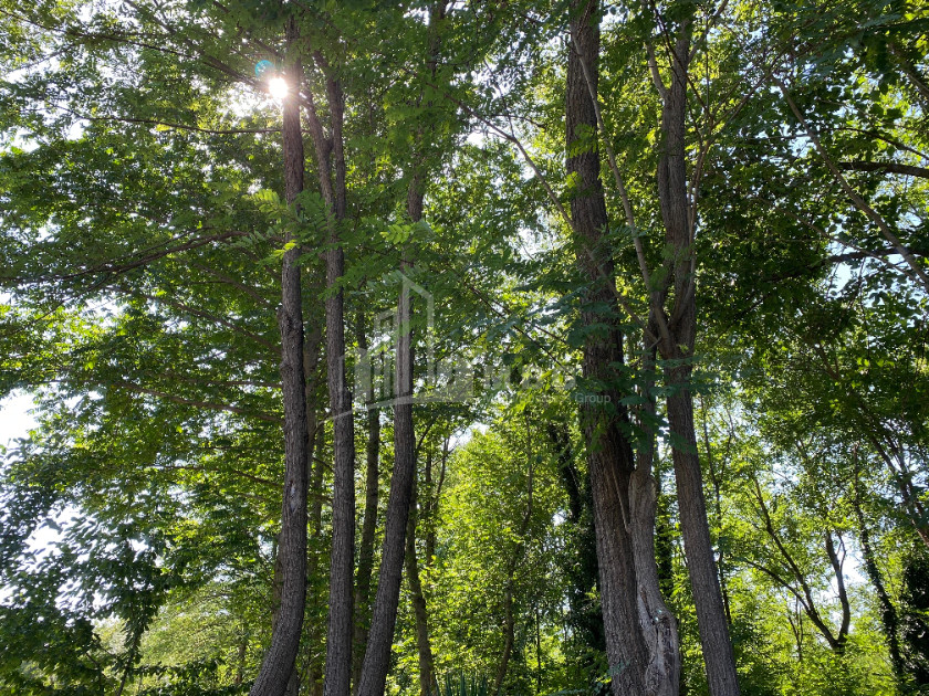 იყიდება ბიზნესი კომერციული ფართი თელავი კახეთი