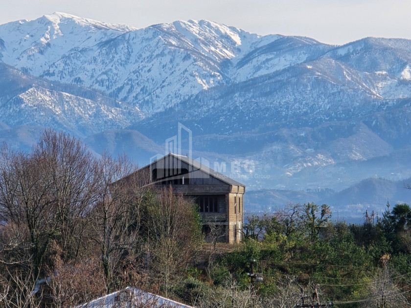 იყიდება ძველი აშენებული სახლი - აგარაკი ზემო ნატანებში, ოზურგეთი