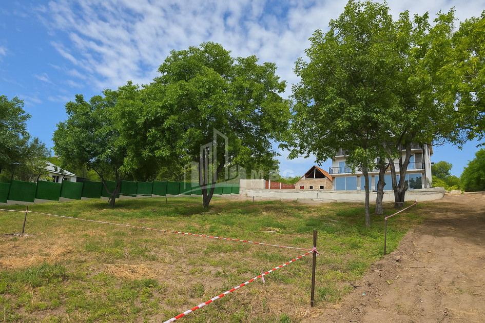 For Sale Commercial Bazaleti Dusheti Mtskheta   Mtianeti