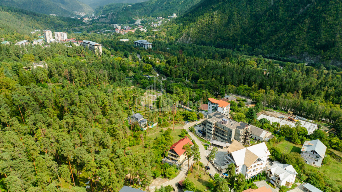 For Sale Commercial Likani Borjomi Samtskhe   Javakheti