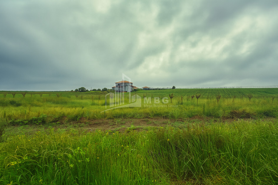 For Sale Land Vartsikhe Baghdati Imereti