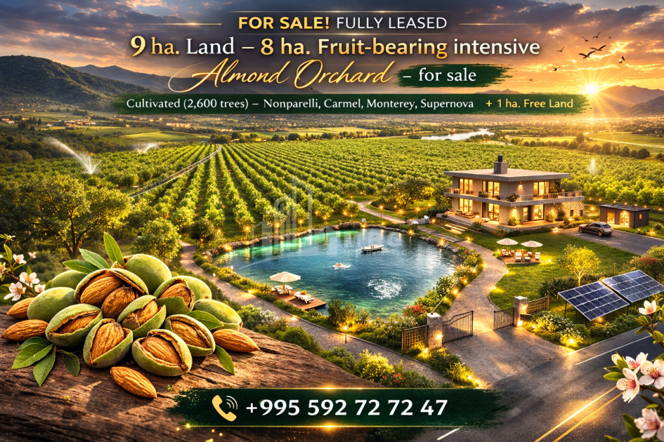 Продается Фруктовые сад Земля В Болниси