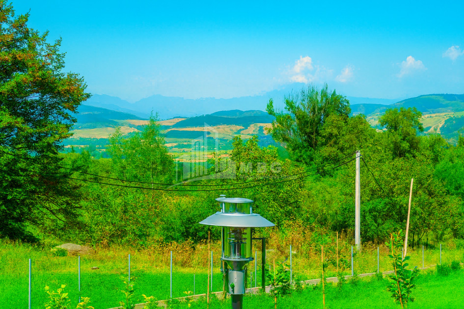 For Sale House Villa Tskhvarichamia Mtskheta Mtskheta   Mtianeti