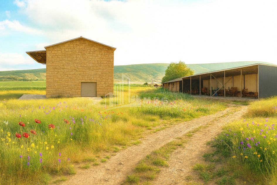 იყიდება კომერციული ფართი დოესი კასპი შიდა ქართლი