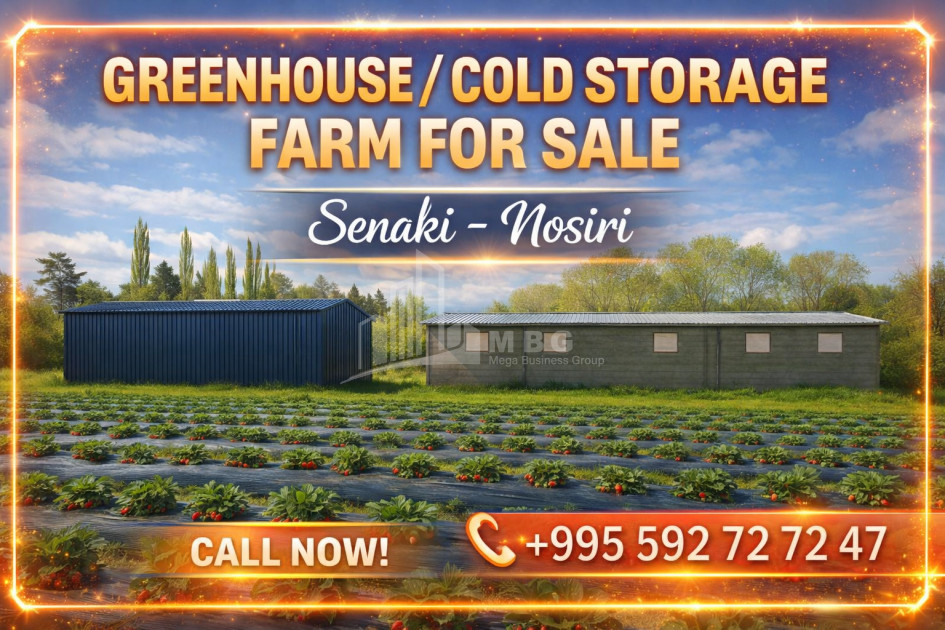 For Sale Land, Nosiri, Senaki, Samegrelo