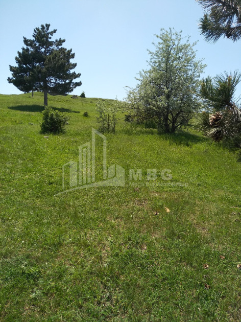 Продается Дачные Земля, в Табахмела