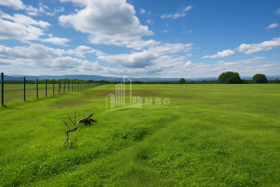 For Sale Land Vartsikhe Baghdati Imereti