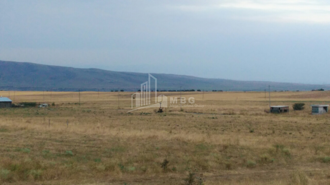 For Sale Orchards Land, in Kumisi