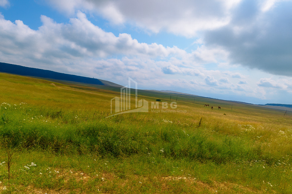 იყიდება მიწის ნაკვეთი წალკა ქვემო ქართლი