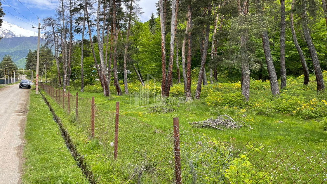 იყიდება სააგარაკე მიწის ნაკვეთი, ონი