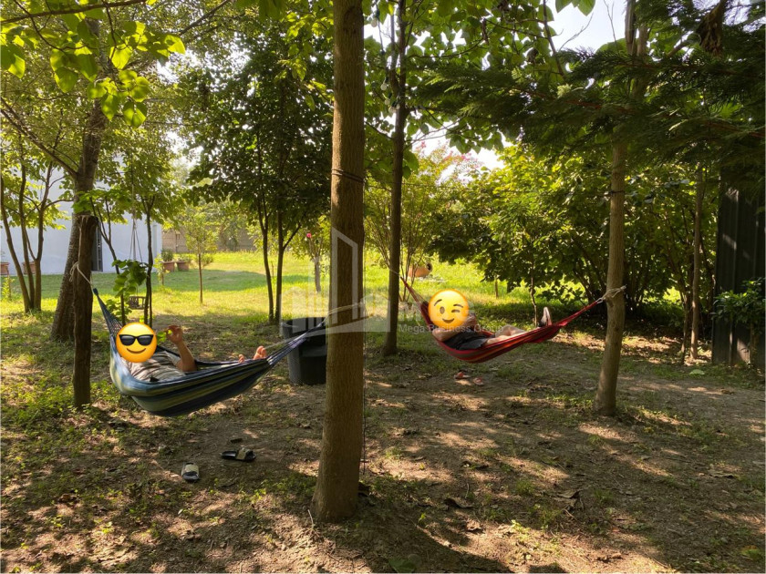 იყიდება ბიზნესი კომერციული ფართი თელავი კახეთი