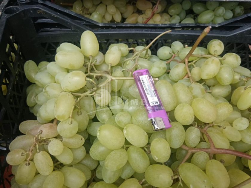 For Sale Land, Nosiri, Senaki, Samegrelo