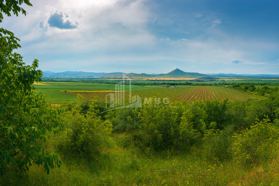 For Sale Land Bolnisi Kvemo Kartli