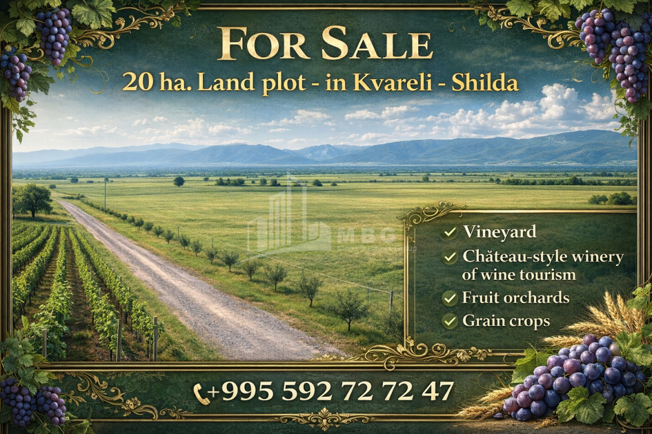 იყიდება მიწის ნაკვეთი, შილდა, ყვარელი, კახეთი
