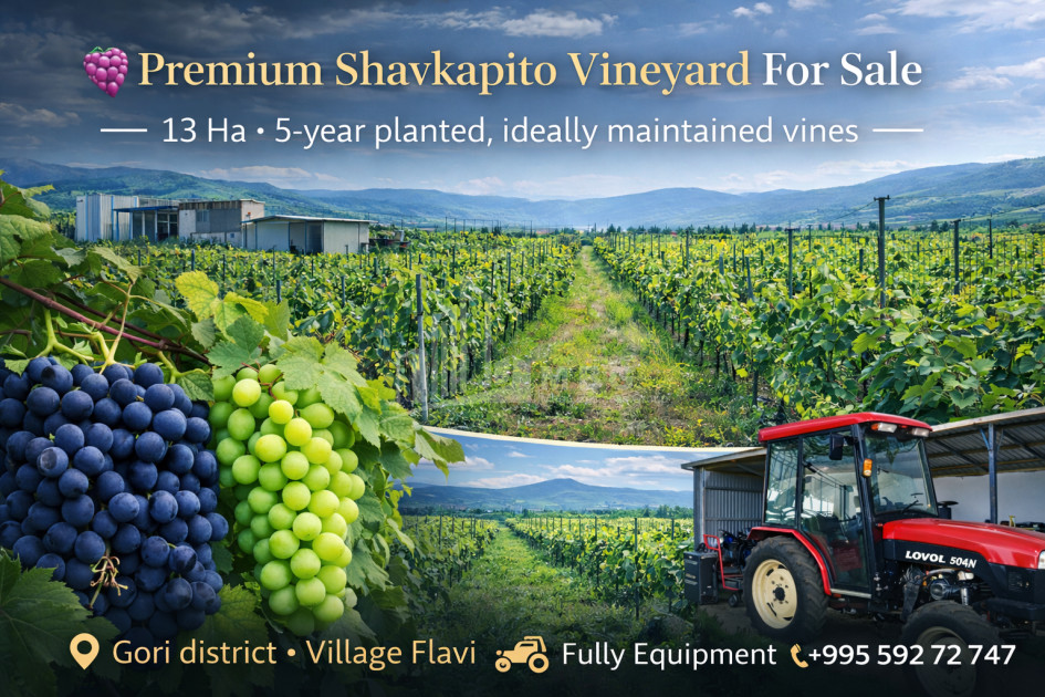 For Sale Vineyard - Chateau Land In Gori