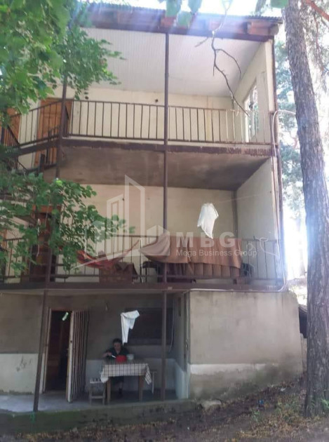 For Sale House Villa Tsaghveri Borjomi Samtskhe   Javakheti