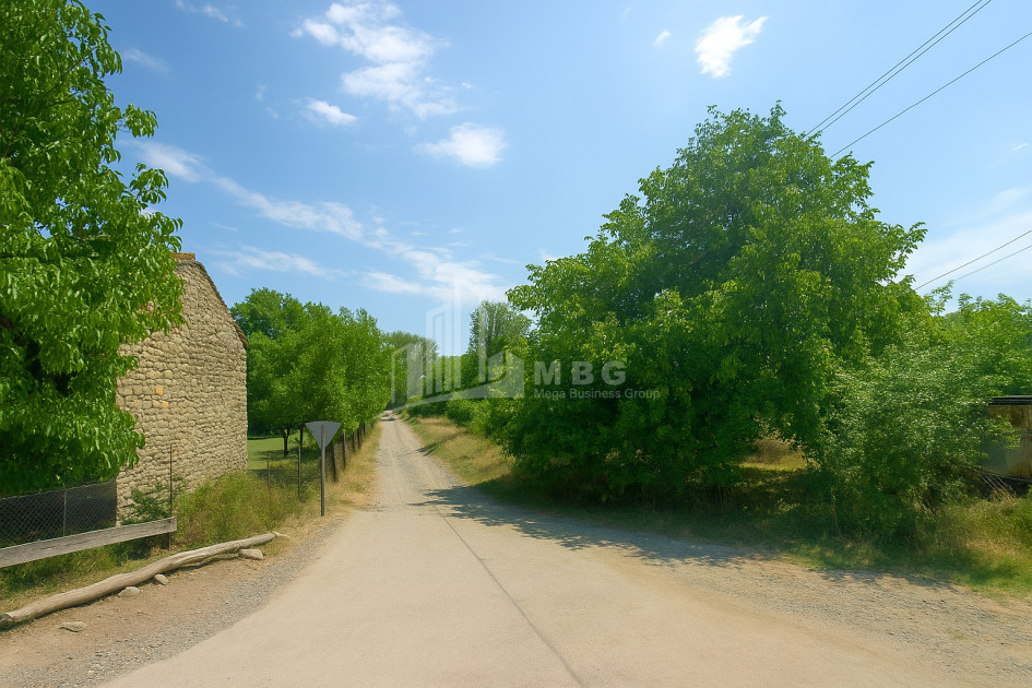 იყიდება მიწის ნაკვეთი ახალსოფელი თიანეთი მცხეთა   მთიანეთი