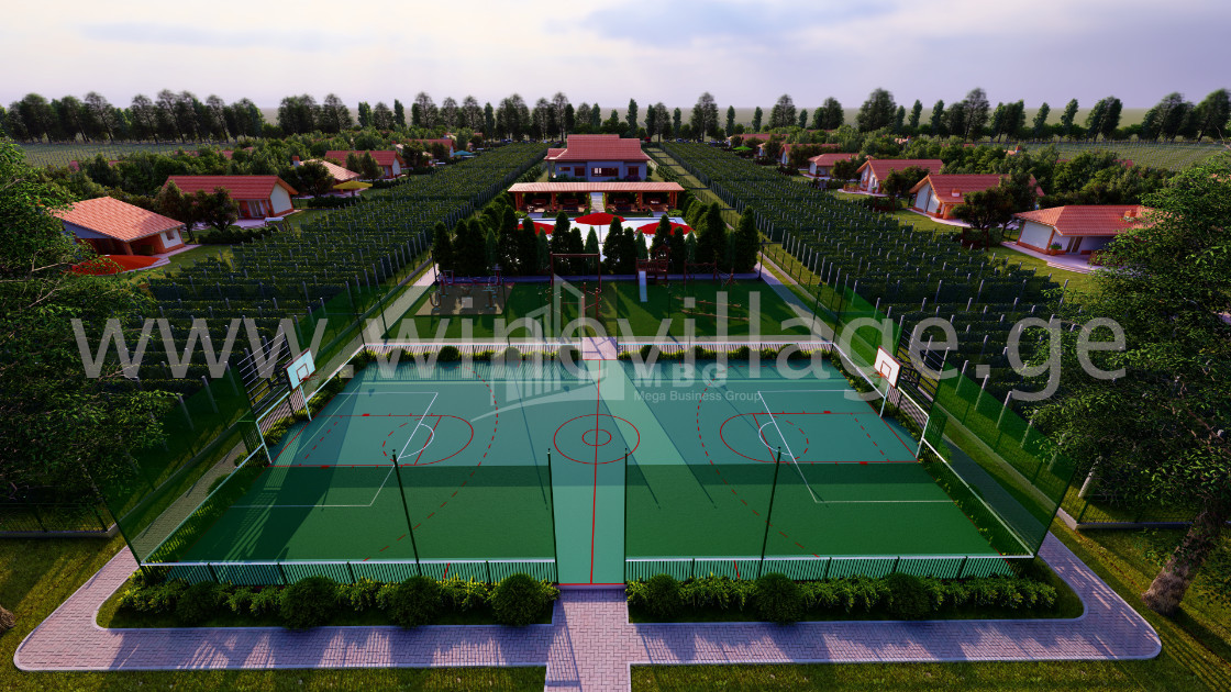 For Sale House - Villa, in Kvareli