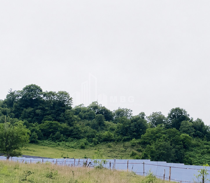 For Sale Country Land In Racha