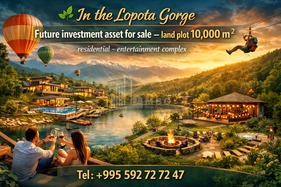 იყიდება ბიზნესი კომერციული ფართი თელავი კახეთი