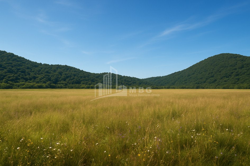 For Sale Land Gremi Kvareli Kakheti
