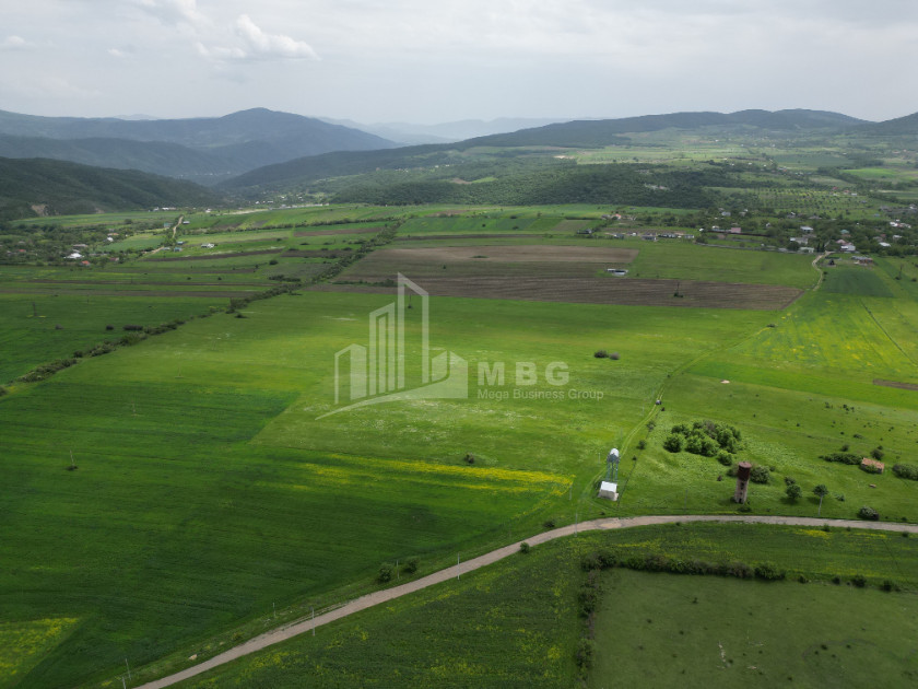 For Sale Land Bazaleti Dusheti Mtskheta   Mtianeti