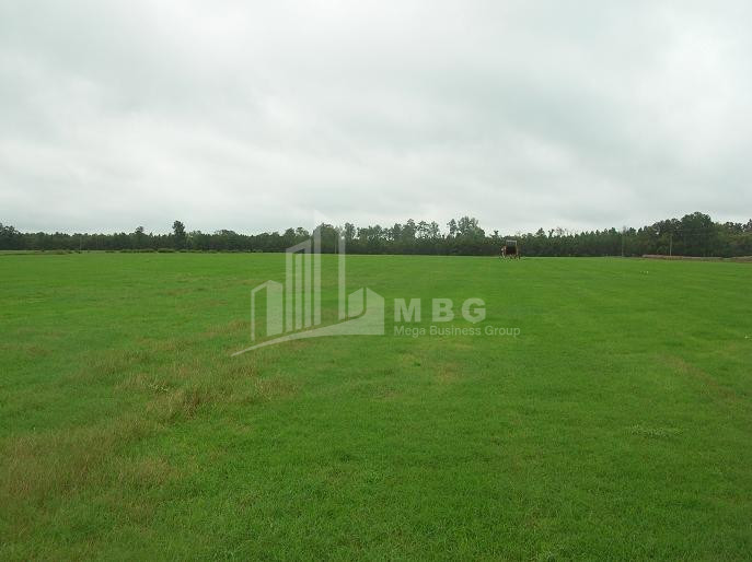 For Sale Country Land, in Bolnisi