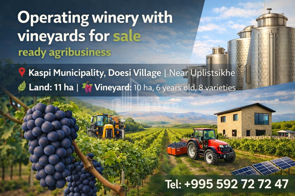 For Sale Chateau / Wine factory Commercial In Does, Kaspi