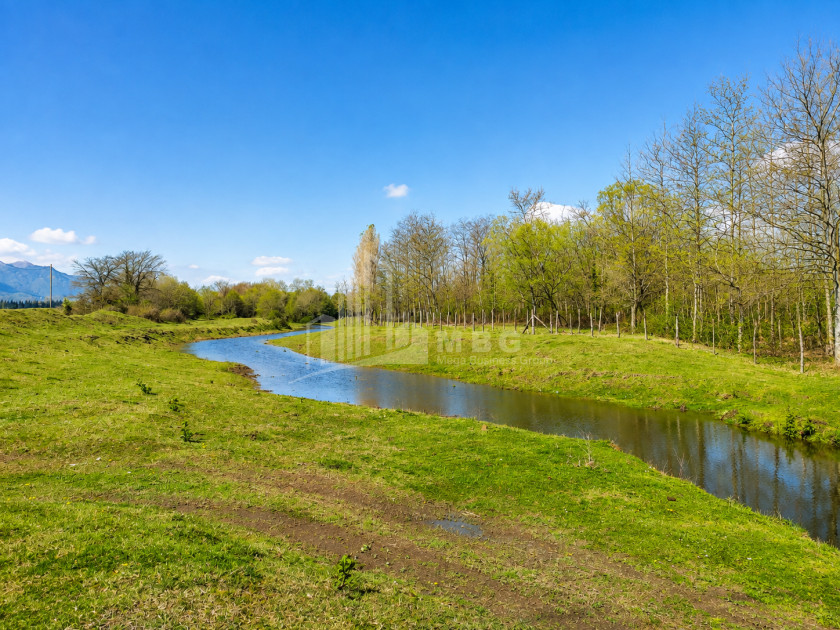 For Sale Orchards Land In Abasha