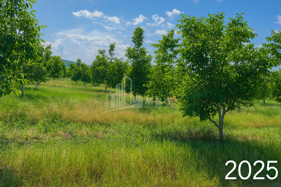 For Sale Land Does Kaspi Shida Kartli