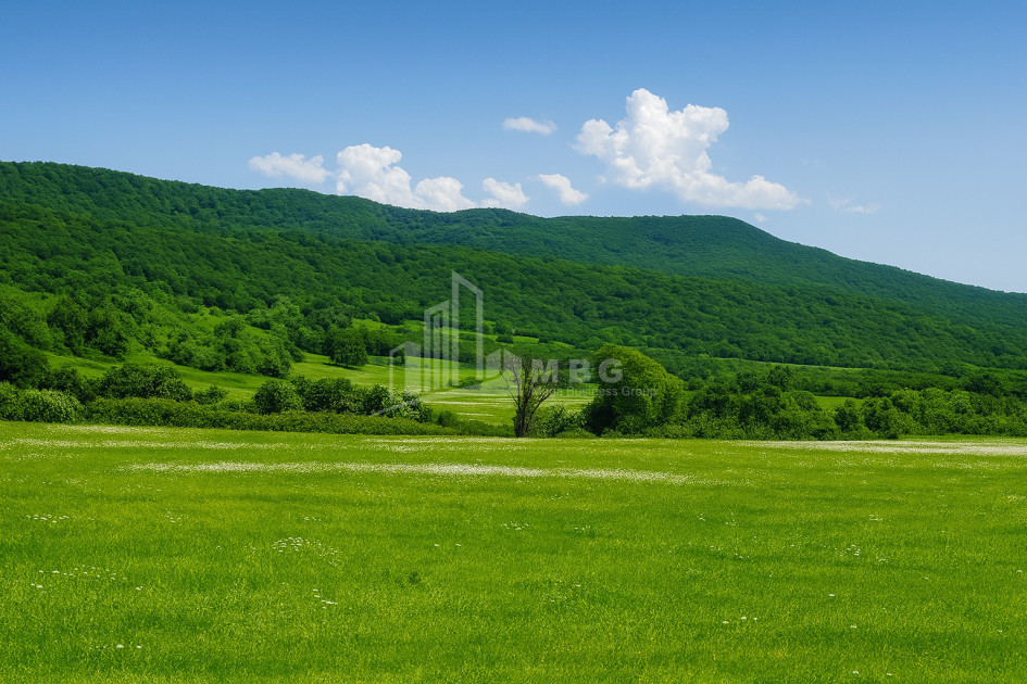 Продается Земля Гомбори Сагареджо Кахети