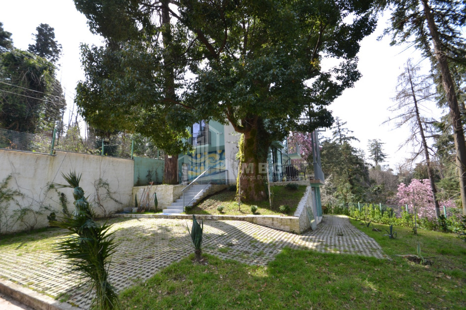 For Sale House Villa Makhinjauri Batumi Adjara